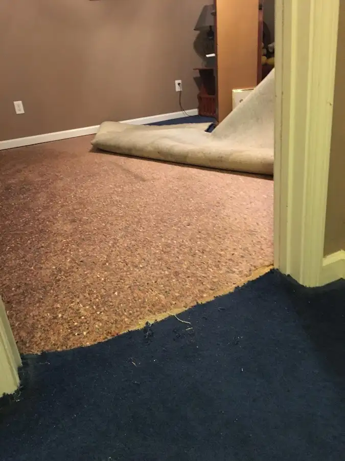 Carpet pad removal revealing water damage during Drying & Dehumidification in Aspen