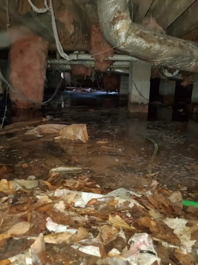 Crawl space flood assessment for Commercial Water Damage Restoration in Aspen